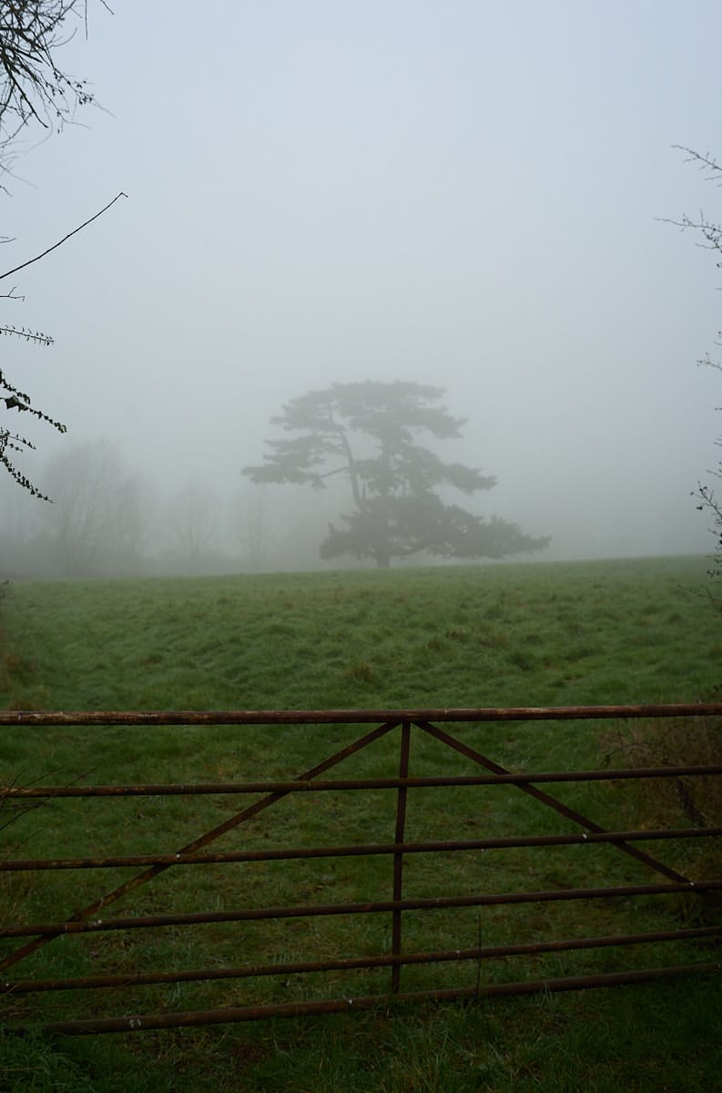 Der Mann am falschen Bahnsteig Beitragsbild