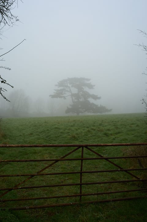 Der Mann am falschen Bahnsteig Beitragsbild